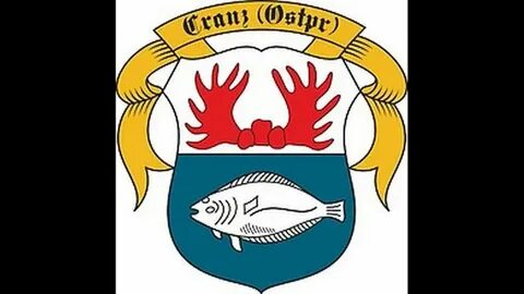 Герб города зеленоградска