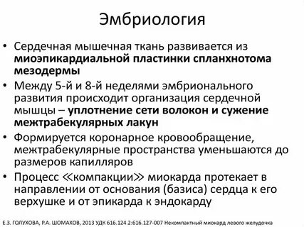 Некомпактный миокард