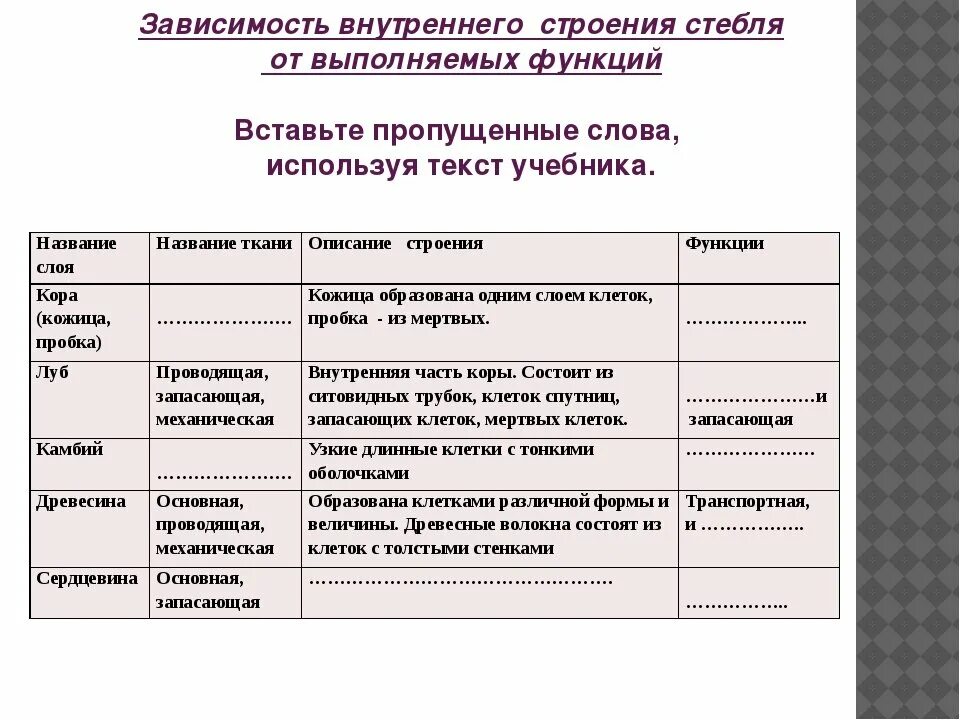Биология 6 класс внутреннее строение стебля таблица. Таблица по биологии внутреннее строение стебля. внутреннее строение стебля таблица 6 класс биология. таблица по биологии 6 класс строение стебля. строение стебля древесного растения таблица.