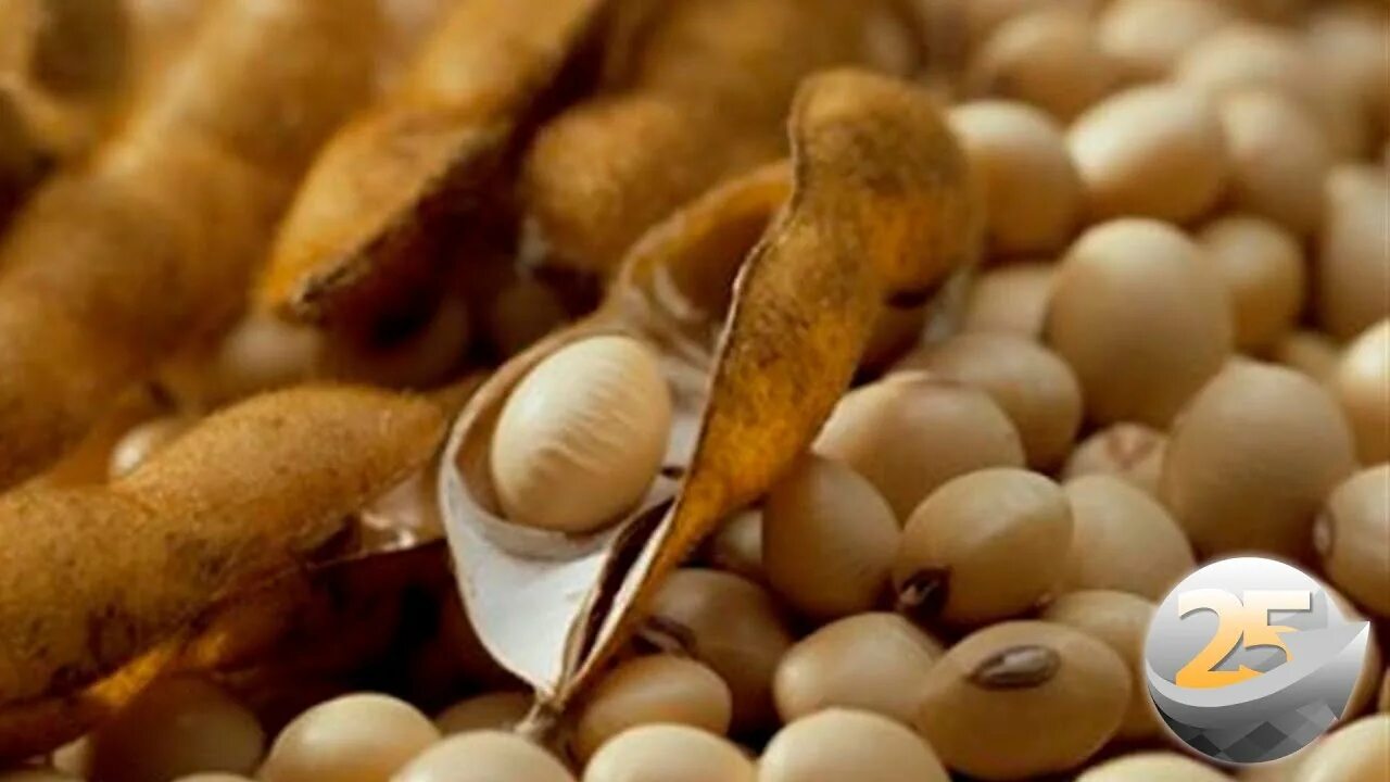 Производители семян. Переработка сои. Продукт переработки сои 4. Продукт переработки сои 4. Переработка сои.