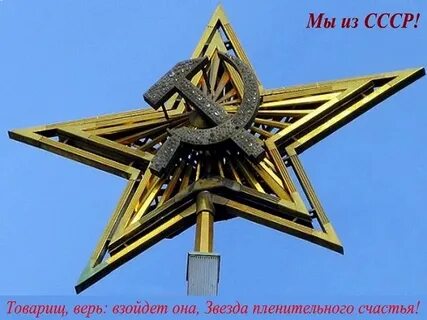 Звезда верь