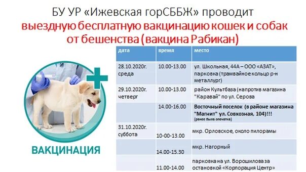 Прививка от бешенства собаке когда можно. Вакцина против бешенства рабикан. Вакцина против бешенства Щелково 51 инструкция для собак. Бешенство плотоядных вакцина рабикан. Рабикан вакцина для собак от бешенства.