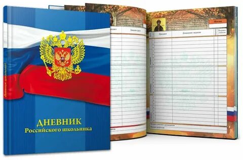 Школьный дневник курган