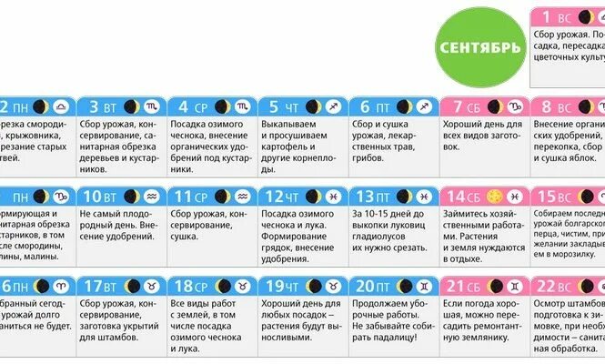 Пересадка в сентябре. Лунный календарь на сентябрь 2019 года. Лунный календарь на сентябрь садовода. Благоприятные дни для сбора урожая. Сентябрь 2019 Луна.