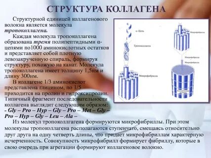Что является структурной единицей научной статьи