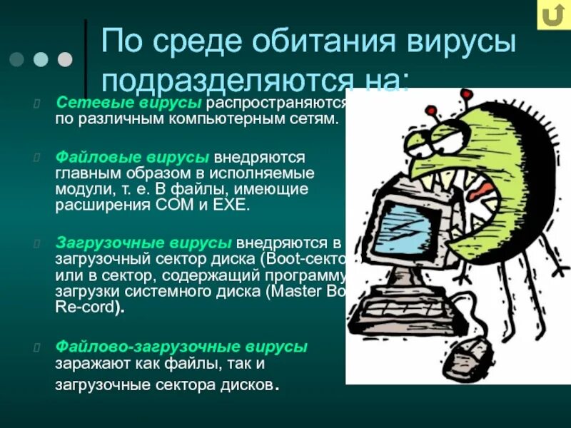 Где найти вирусы. Файловые компьютерные вирусы. Среда обитания компьютерных вирусов. Сетевые и файловые вирусы. Файлово-загрузочные компьютерные вирусы.