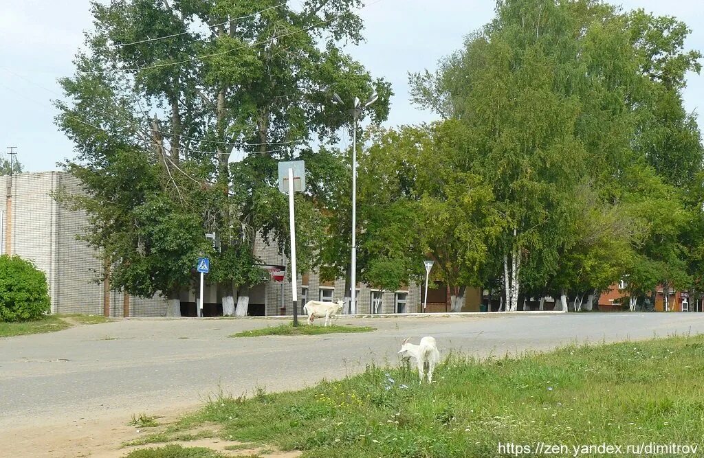Поселок свободного времени. Ува (посёлок). Перспектива поселок Ува. Поселок Ува 1989. Поселок Ува 90е.
