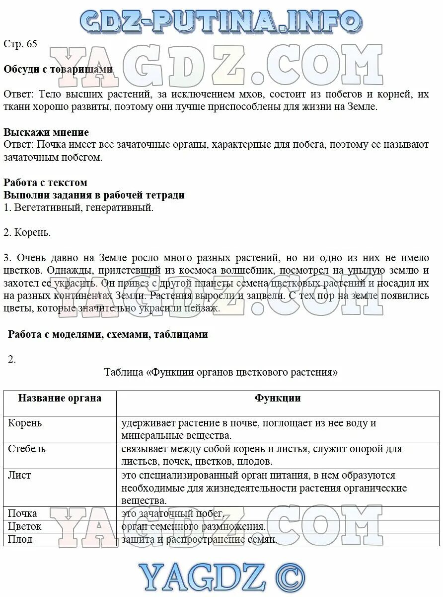 Учебник биологии 5 Сивоглазов Плешаков. Гдз по биологии 5 класс Сивоглазов Плешаков. Биология 5 класс учебник Сивоглазов Плешаков. В И Сивоглазов биология гдз 5.