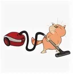 Коты катаются на пылесосе
