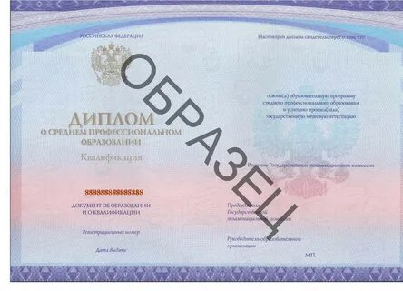 Где написан номер диплома