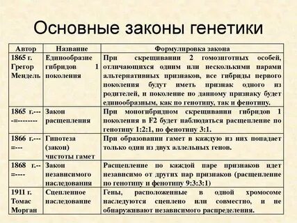 Законы наследования сформулировал