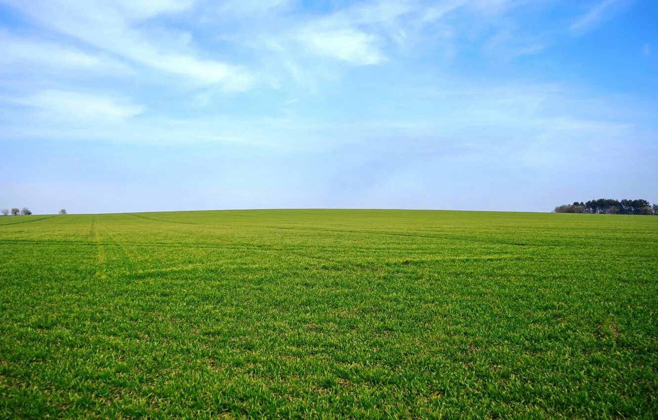 Where field field