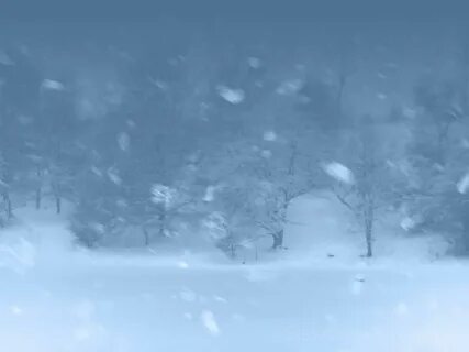 Пятый день несло непроглядной вьюгой