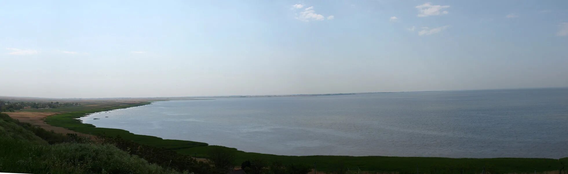 Морской чулек фото YugNash.ru