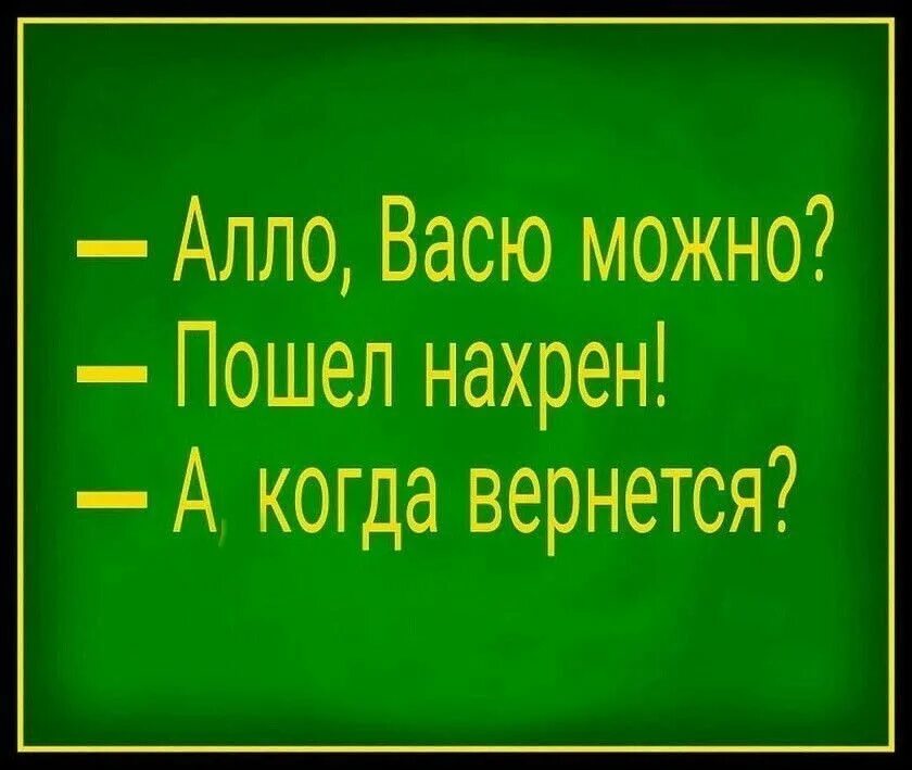 Вася ложкин папа вернулся. Алло васю можно. Вась вась. Смешные коты с надписями. Кот уходит.