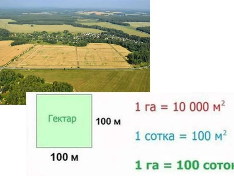 Сколько размер гектара