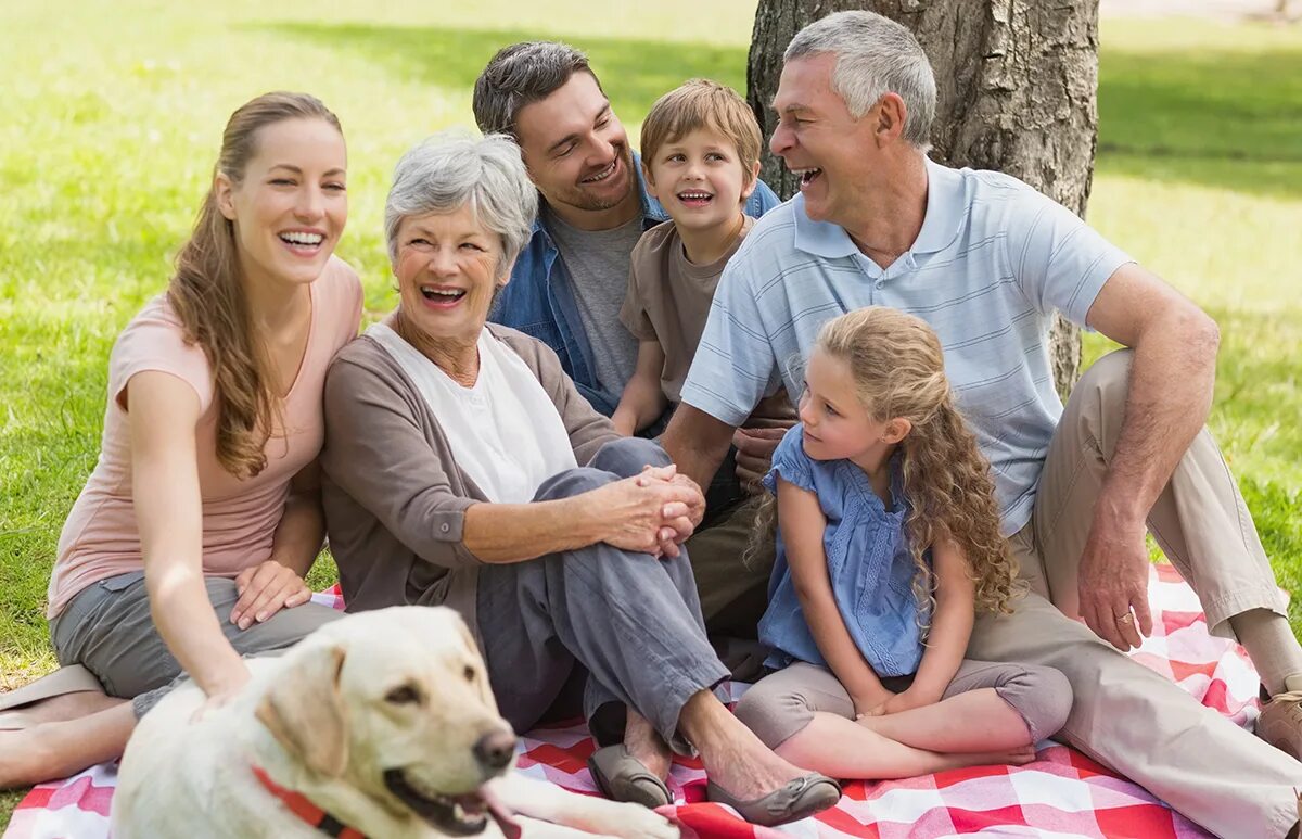 Бабушка с кошками и собаками. Человек с собакой. Пожилые люди и животные. Счастливая семья с бабушкой и дедушкой. Одинокий человек с собакой.