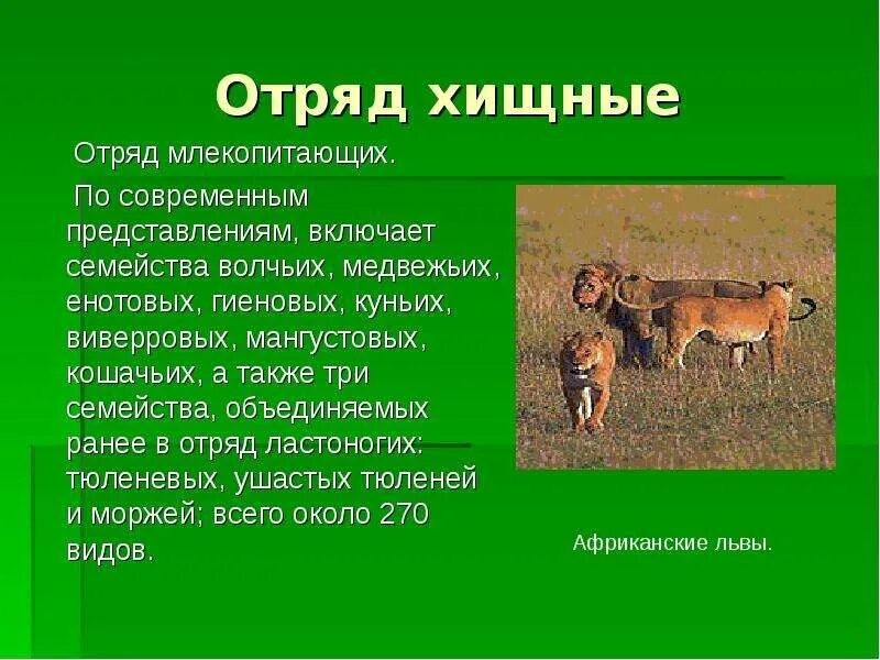 Характеристика плотоядных