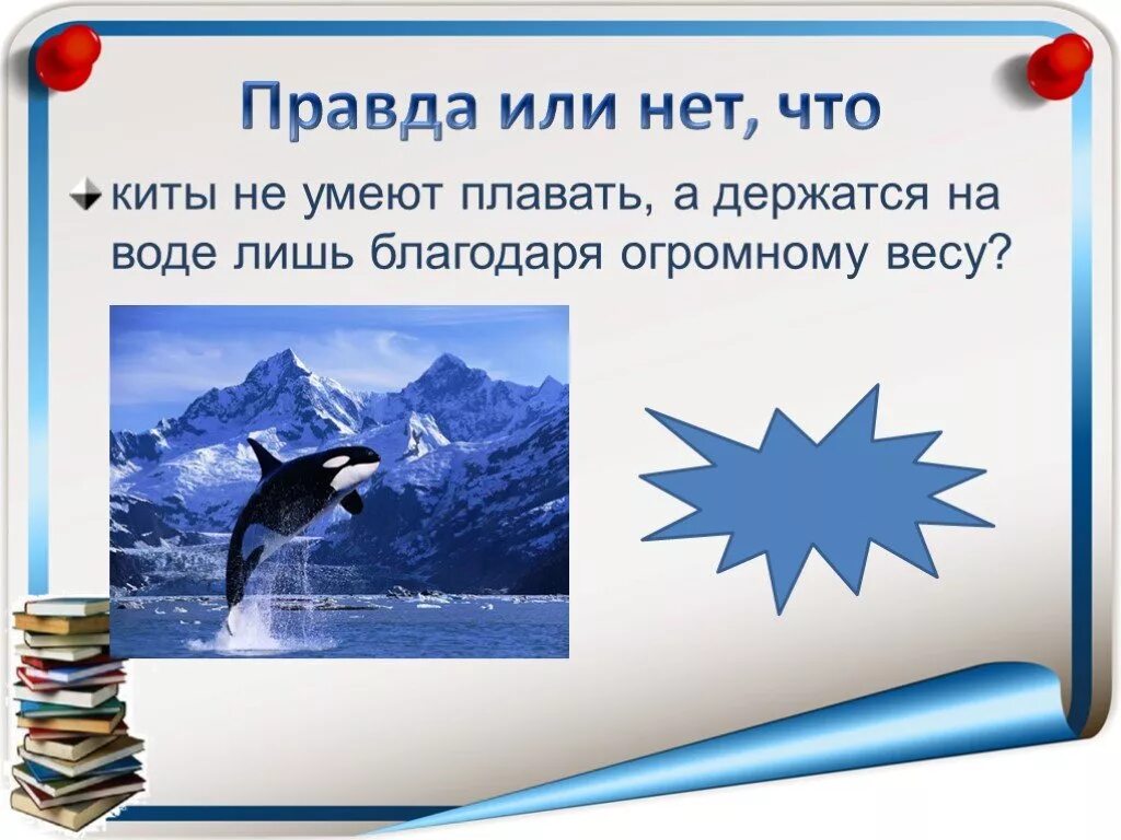 Задания по тексту мы умеем плавать. Животные которые не умеют плавать. киты умеют плавать или нет. животные которые умеют плавать на английском. они умеют плавать на английском.