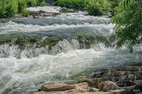Речной черепаново