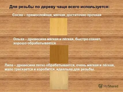 Мягкая древесина