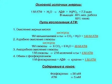 Количество энергии в виде атф