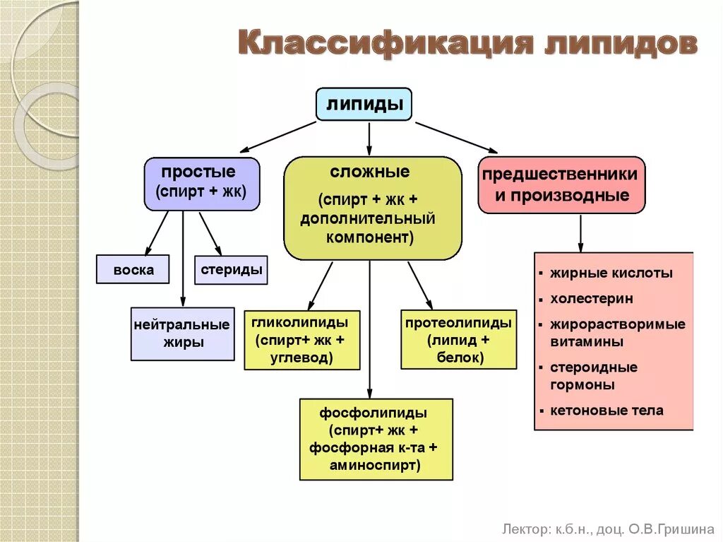 Связи липидов. Липиды классификация липидов. Классификацию и функции липидов в организме.. Классификация липидов простые и сложные липиды. Функции простых и сложных липидов.