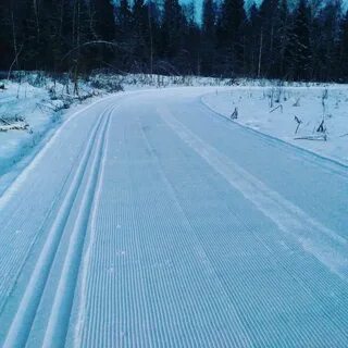 Состояние лыжных трасс сегодня