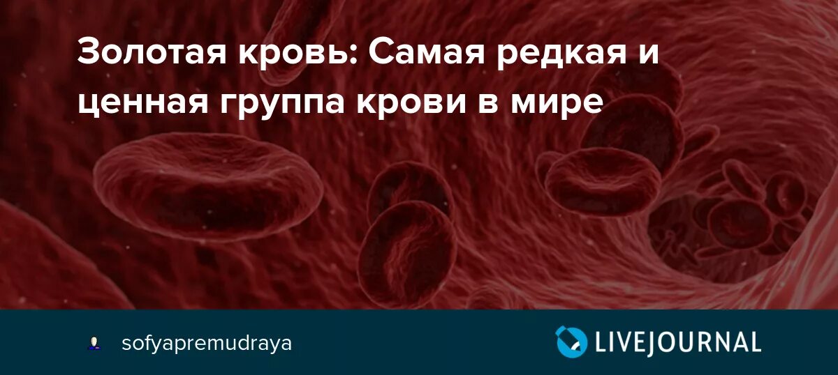 Золотая группа крови это. Золотая кровь группа крови. Золотая кровь редкая группа крови. Золотой резус фактор крови.