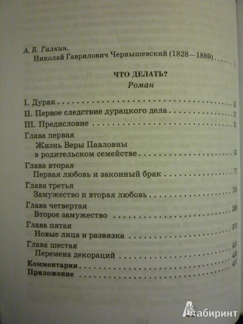 Краткое содержание чернышевского по главам