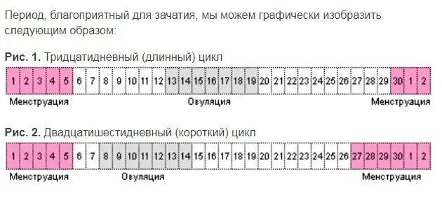 Через сколько дней можно зачать ребенка