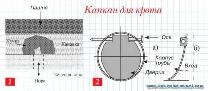 Ловушка для радио. ЛОВУШКА для кротов своими руками из трубы. Капкан для крота своими руками чертежи. Чертеж кротоловки самострел. ЛОВУШКА для крота из трубы.