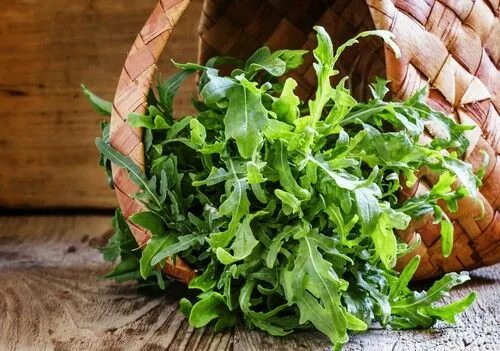 Eruca sativa руккола. Руккола широколистная сорта. Кресс руккола. Как пишется рукола. Турецкая руккола.