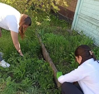Ученики оказали помощь ветеранам