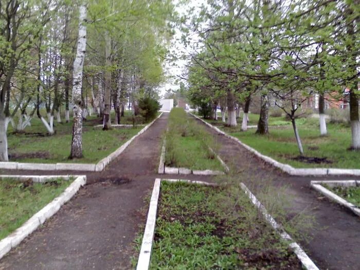 Парк в шилово воронеж. Нерский парк шилово. Детские площадки в шилово. Спортивная площадка школа 3 шилово. Семейный парк в шилово.