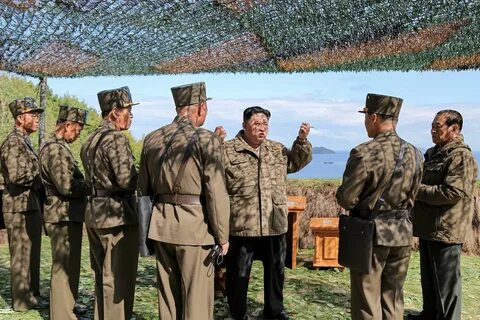 Кндр отправила шары