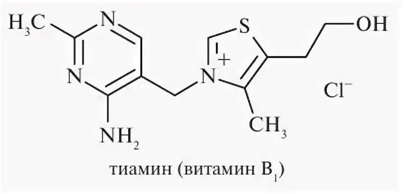 Фолиевая тиамин. Тиамин в1 формула. Витамин тиамин фармакология. Деградация тиамина. Витамин в1 - тиамин биология.