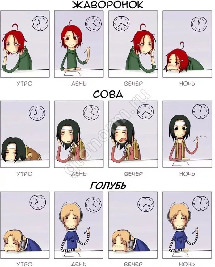 режим сна сова. режим сна сова. типы людей по режиму сна. тип личности сова жаворонок. режим сна сова.