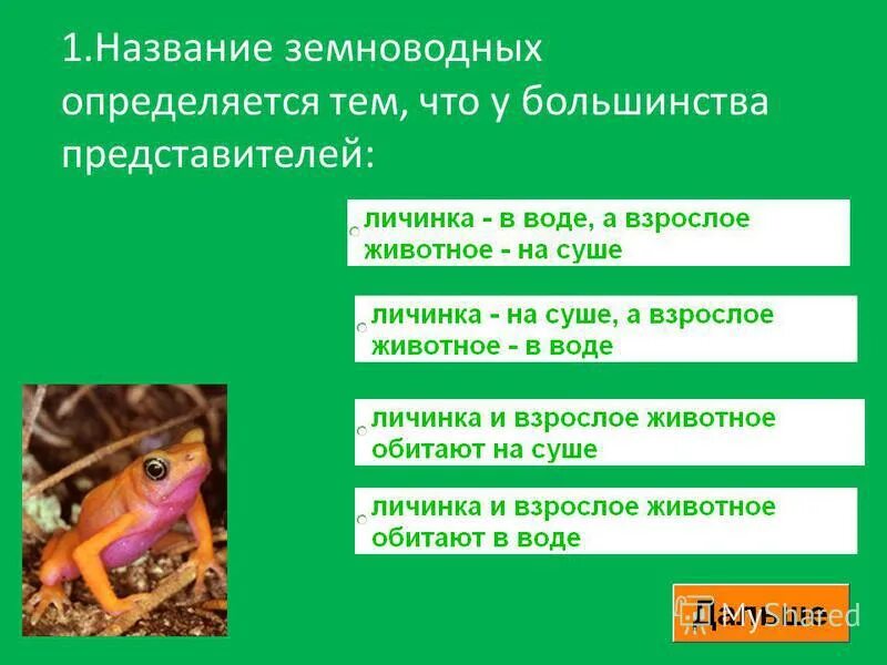 Тест земноводные 8 класс биология с ответами. Название земноводных. Общая характеристика земноводных. Земноводные Заголовок. Общая характеристика земноводных таблица.