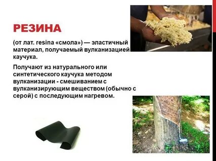 Сырье для получения натурального каучука