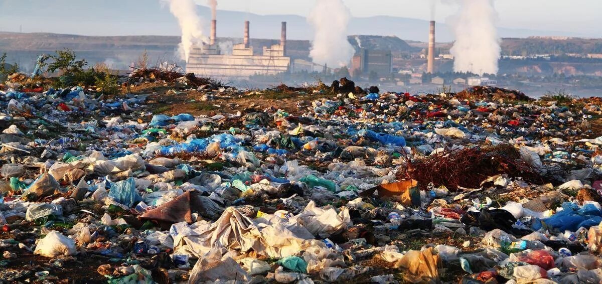 Causes of environmental problems