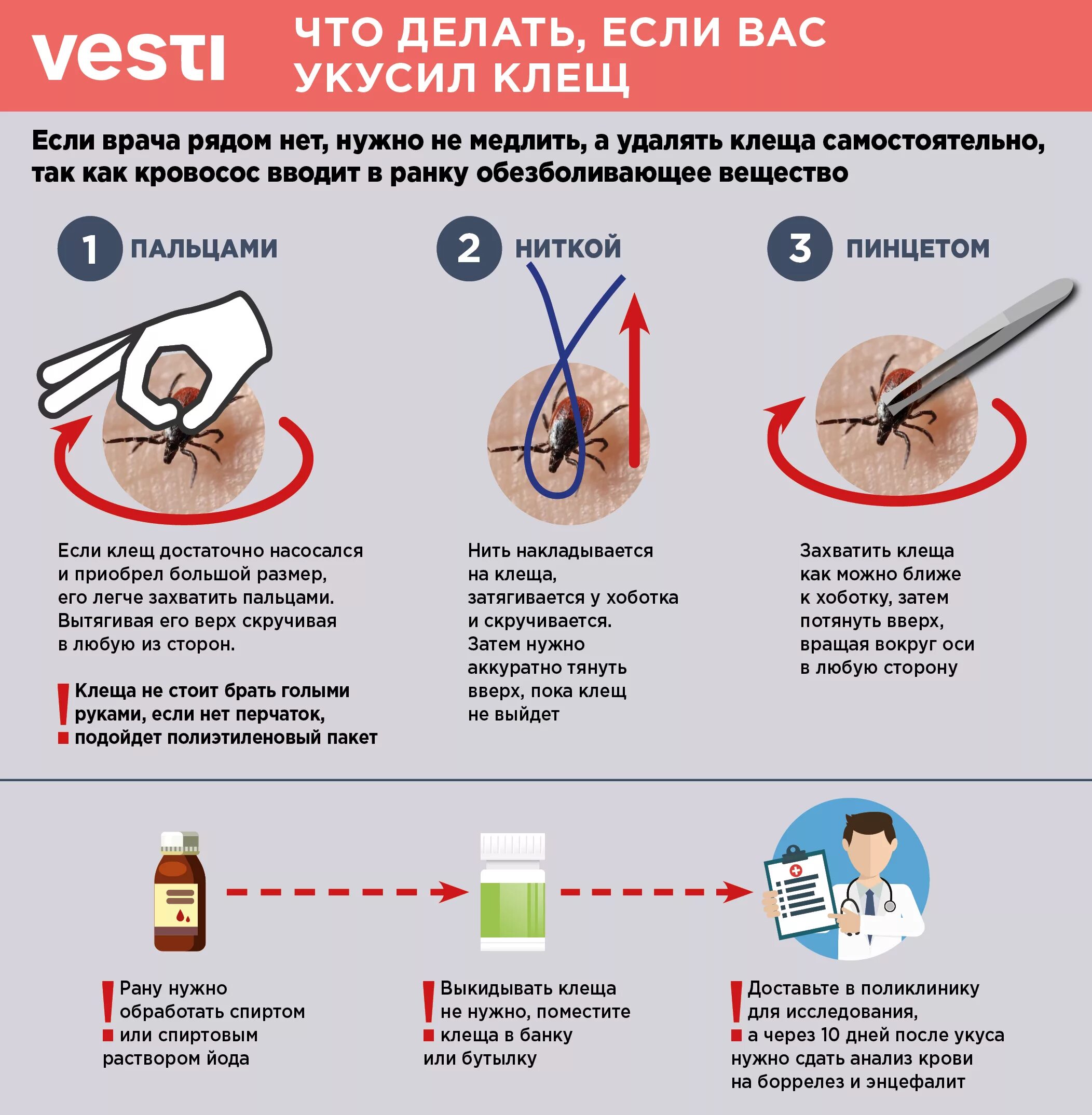 Чем обработать место после удаления клеща. Памятка первая помощь при укусе клеща. Алгоритм действий при укусе клеща в поликлинике. Что делать если укусиь Клед. Чтотдеоаит если укусил клещ.