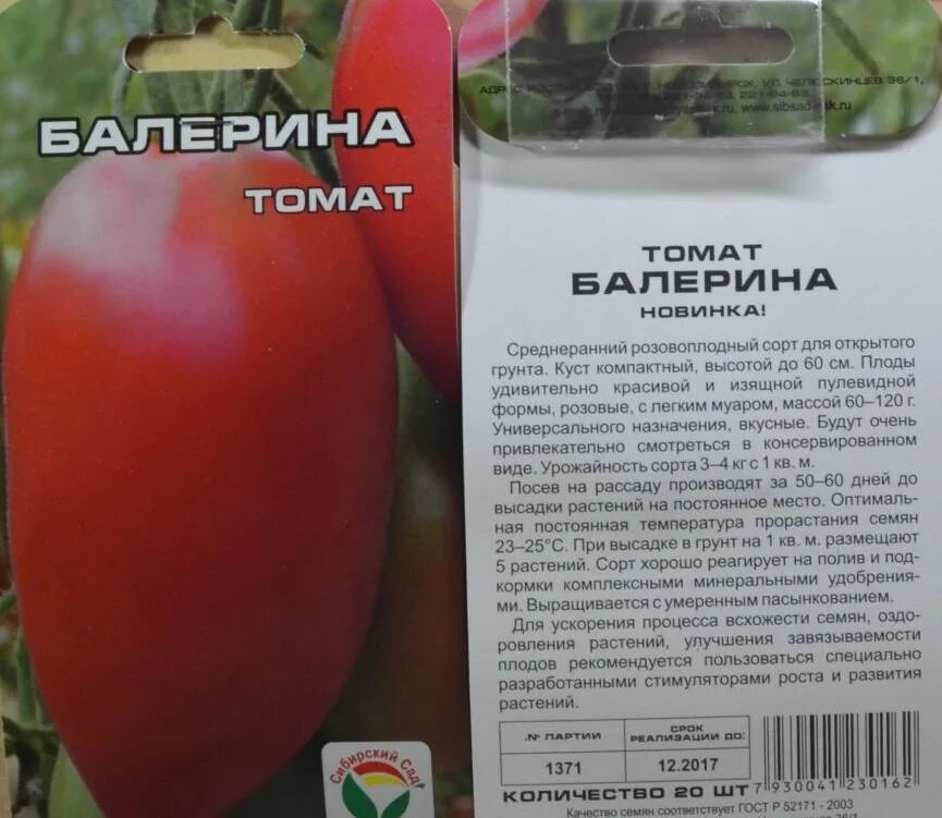 Сорт томатов жигало описание и отзывы. Томат балерина (сиб сад). томат балерина сибирский сад. томат балерина (сиб сад) среднеранний. сорт томатов балерина.