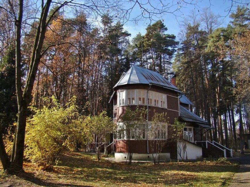 Дачи писателей в переделкино. Городок писателей Переделкино. Переделкино писательский поселок. Переделкино дом писателей в Переделкино. Писательский городок в Переделкино.