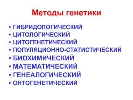 Примеры генетики