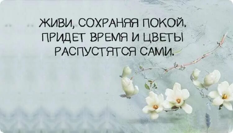 Покой цитаты