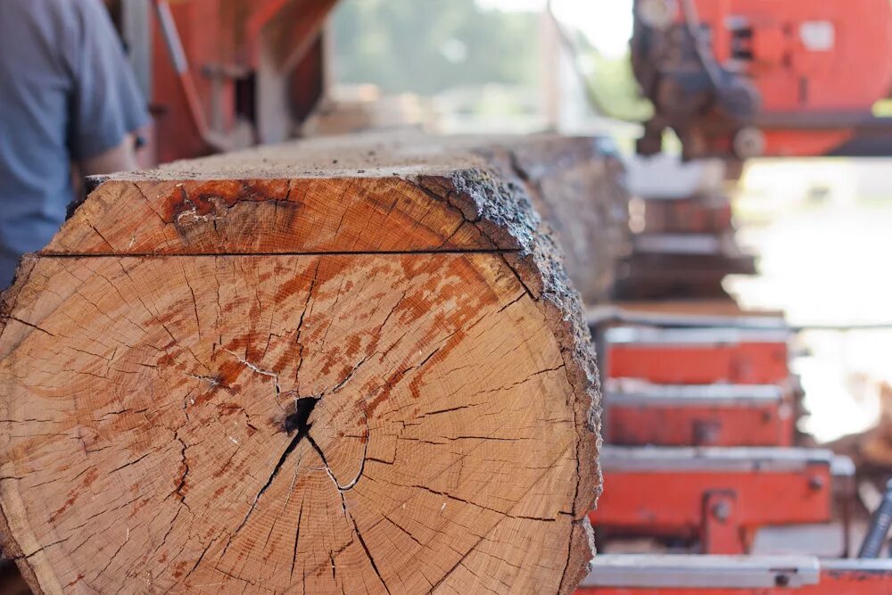 Поперечное пиление древесины. Распиловка древесины на ленточной пилораме. Пиление пиломатериала. Пиление пиломатериала. Тангенциальный распил древесины.