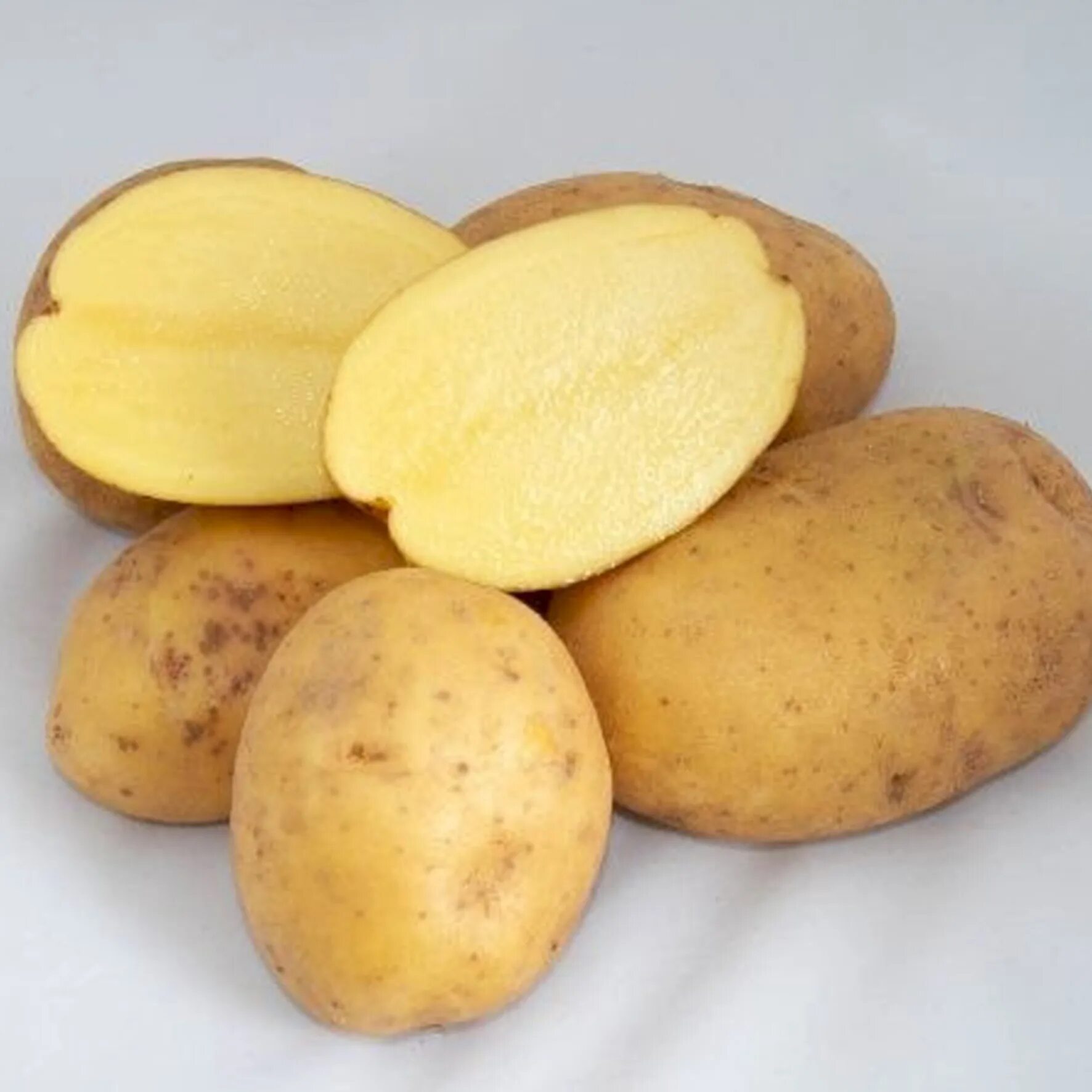 Сорт картофеля Сорая. Сорт картофеля Коломбо. Картофель сорт Коломба. Картофель семенной Коломбо.