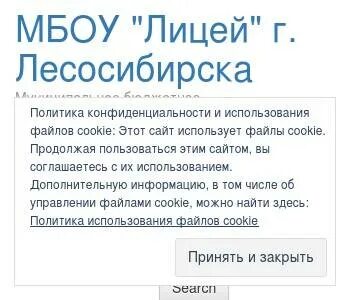 Сайт лицей лесосибирск