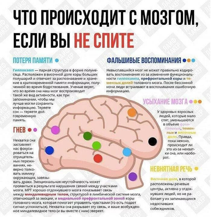 Правда ли что нужно. Мозг и информация. Мозг не засыпает. Недостаток сна влияет на мозг. Бессонница мозг.
